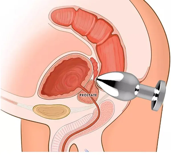 HM37 Stainless Steel USB Rechargeable Remote Control Plug — Why Choose This Anal Plug?