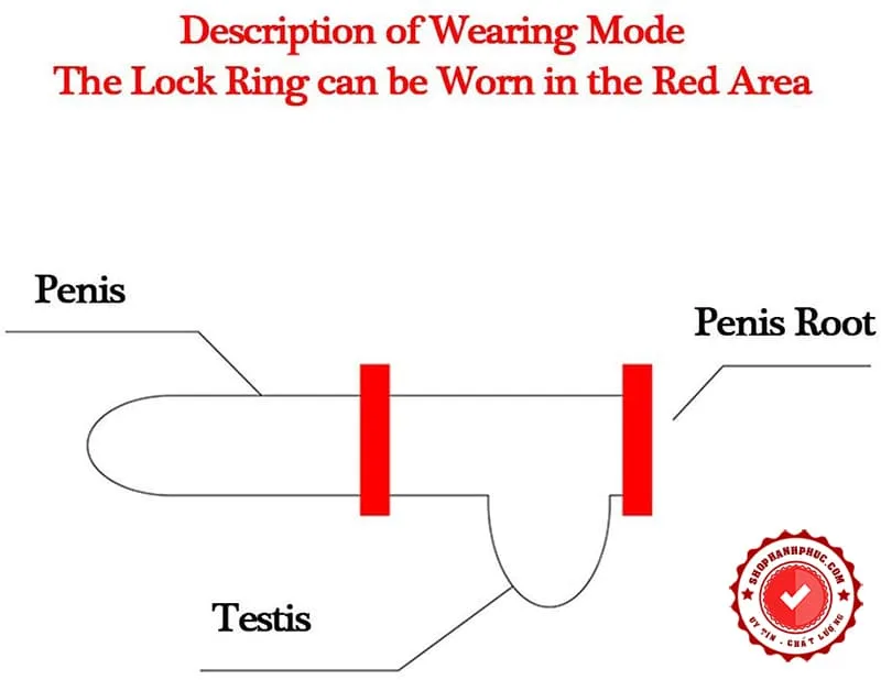 Inox Smart Penis Ring 13 Beads Adjustable For Men — Elevate Your Bedroom Experience with Style and Functionality