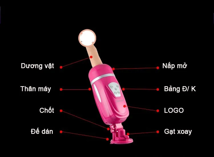 Augus Automatic Thrusting Female Masturbator EasyLo Brand — Why Choose Augus?