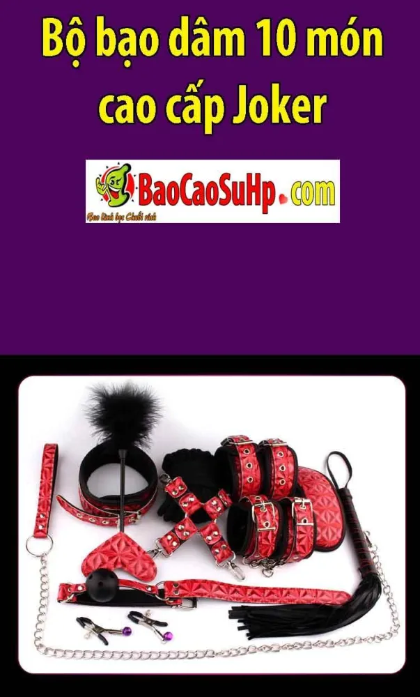 Joker 10-Piece BDSM Set Premium Sex Toys for Bold Daring — hình 2