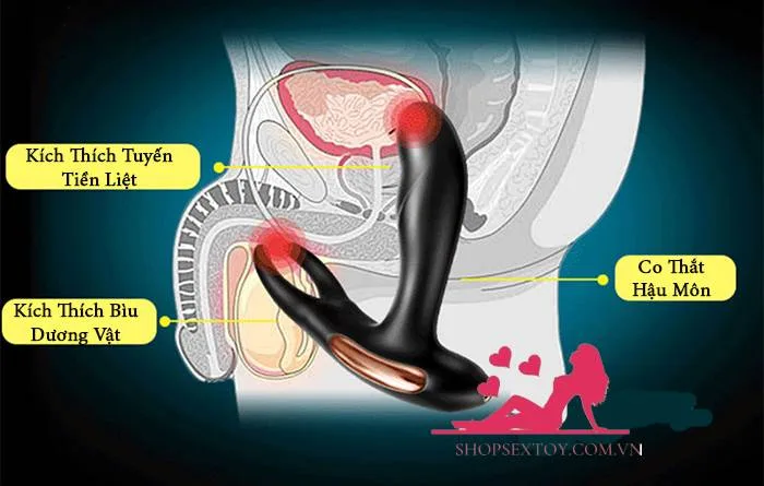 HM32 Heated Remote Control Prostate Massager — hình 6