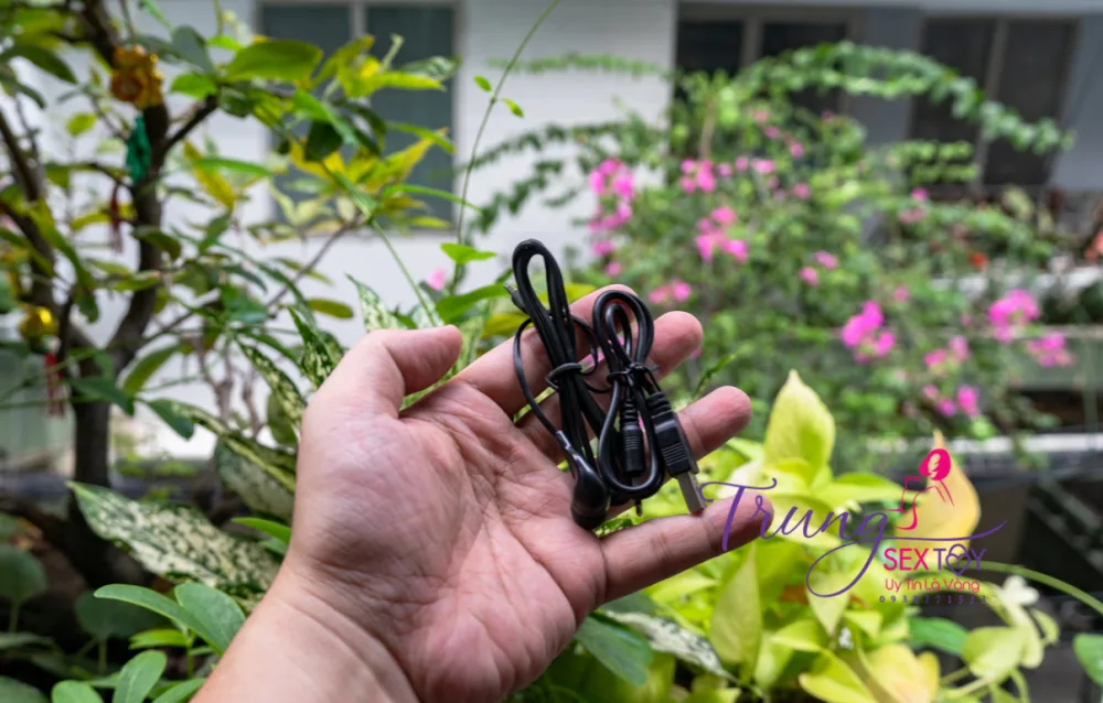 Wanle Multi-Speed Thrusting Vibrator with Sound USB — hình 7