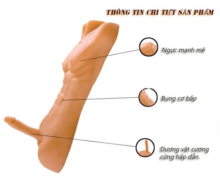 BB12B Male Half Body Sex Doll Female Masturbation Toy — hình 5