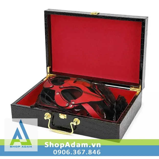 8-piece premium red BDSM leather bondage kit stainless steel — Guide to Safe BDSM Play