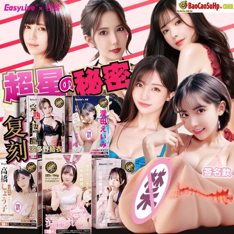 EasyLive Idol Japan Full Mold High Quality Masturbator 730g — Product Specifications & Detailed Images