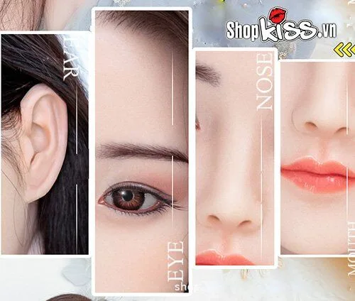 Premium Platinum Silicone Love Doll Realistic Lifelike — Key Specifications