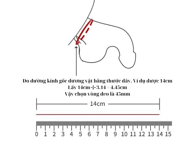 Inox Penis Ring Delay Ejaculation Male Enhancement — Perfect Size for Maximum Effect