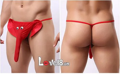 Men’s Thong Underwear Voi Voi Sexy Breathable Cotton — Why Choose the Elephant Trunk Crotchless Underwear?