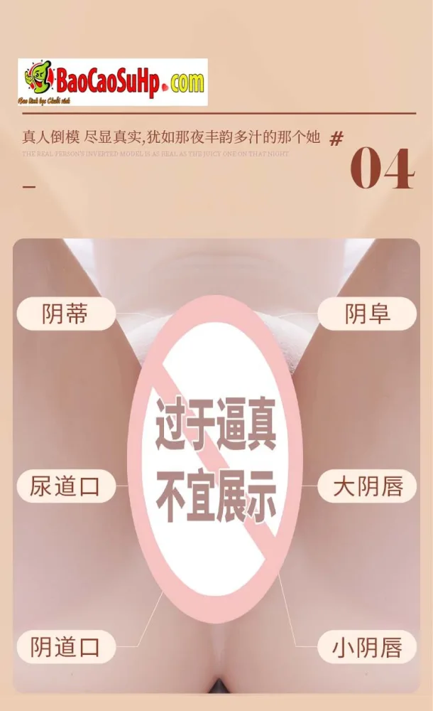 Flower X ZZ028 Half Body Sensual Male Sex Doll — hình 8