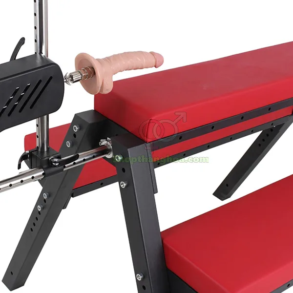 SM Love Chair With Penis Dildo Couples Bondage Play — Precise Specifications to Note