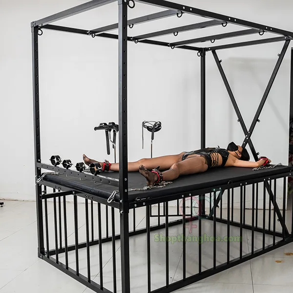 Multi-Function BDSM Torture Bed with Realistic Dildo — hình 5