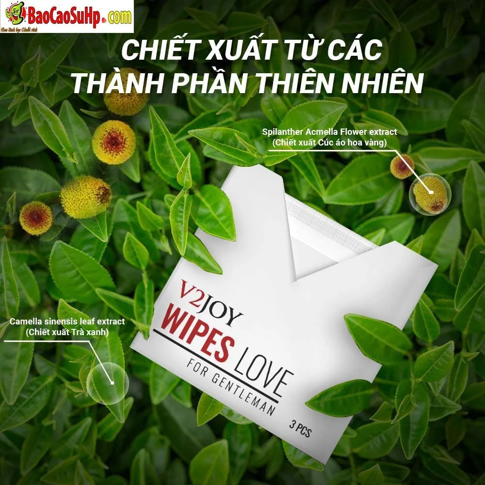 Herbal Delay Wipes Vjoy Natural Premature Ejaculation Aid — Authentic Vietnamese Quality & Origin