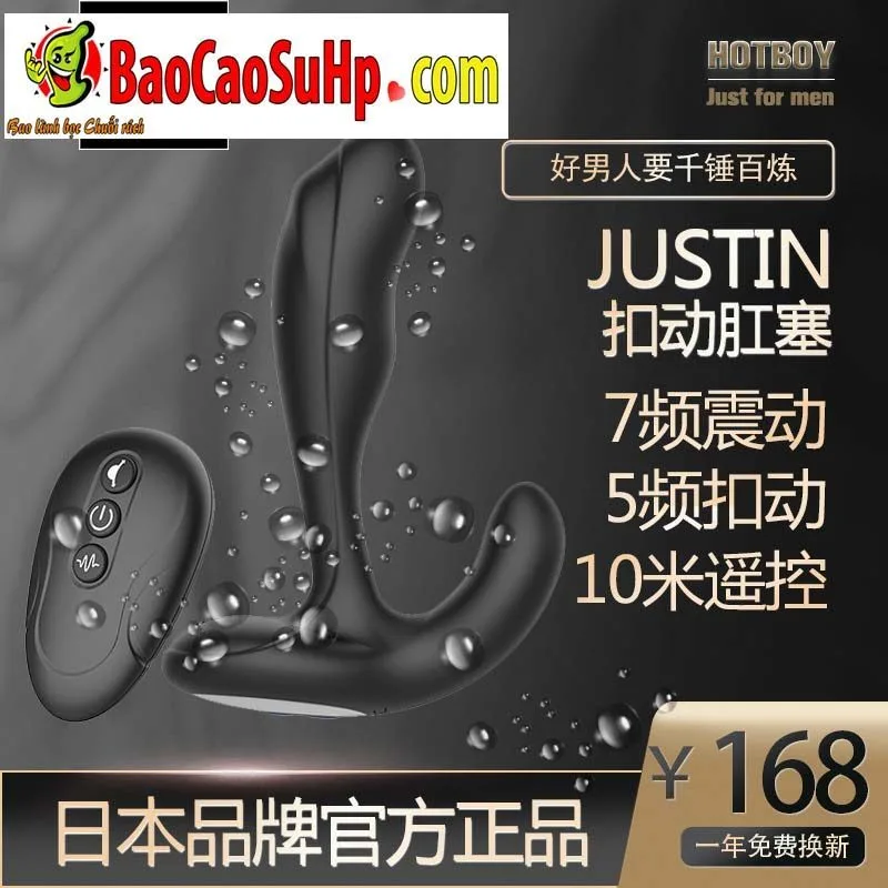 Hotboy Justin Prostate and Anal Stimulator Vibrator — Exceptional Features and Specifications