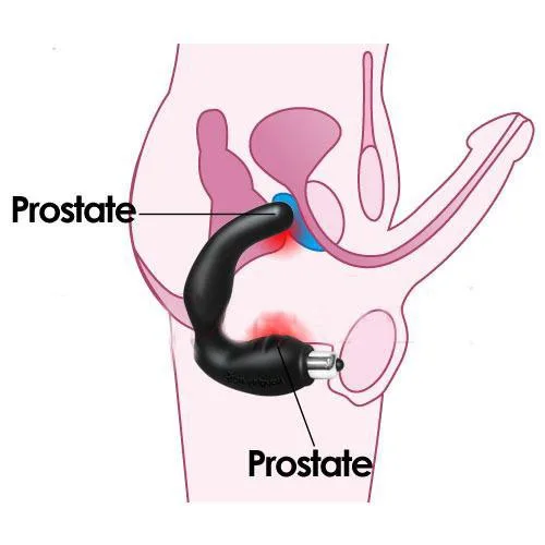 Anal Stimulator C-Shaped Vibrator Prostate Massage for Men — Easy to Use & Maintain