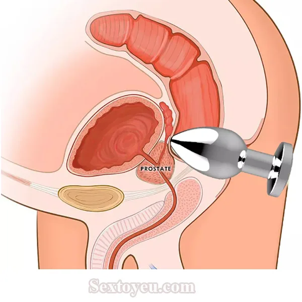 Super Strong Vibrating Stainless Steel Anal Plug — hình 2