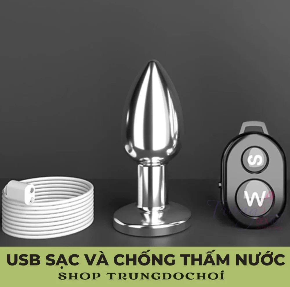 Remote Control Metal Anal Plug 10 Vibration Modes — Waterproof & USB Rechargeable for Convenience