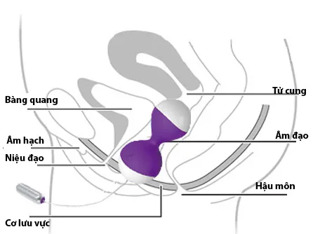 Miu Miu Remote G-Spot Warming Vibrating Egg — hình 3