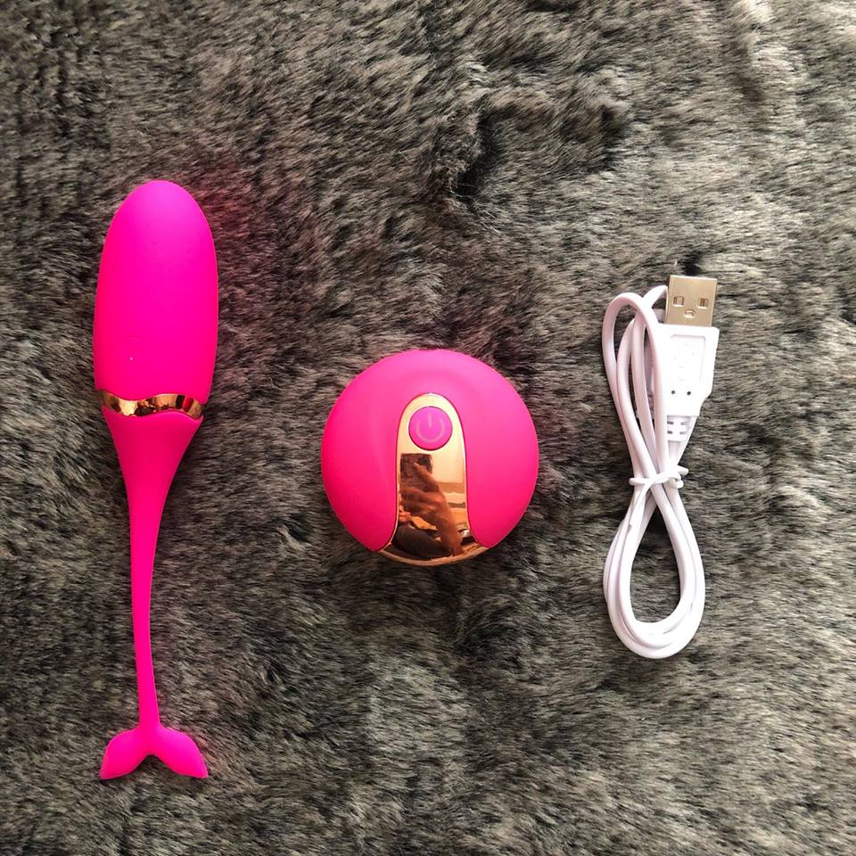 Remote Control Rechargeable Silicone Dolphin Vibrating Egg — hình 3