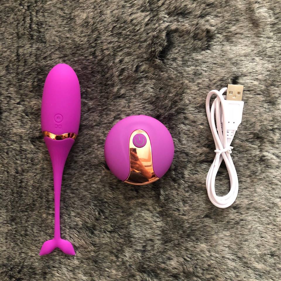 Remote Control Rechargeable Silicone Dolphin Vibrating Egg — hình 2
