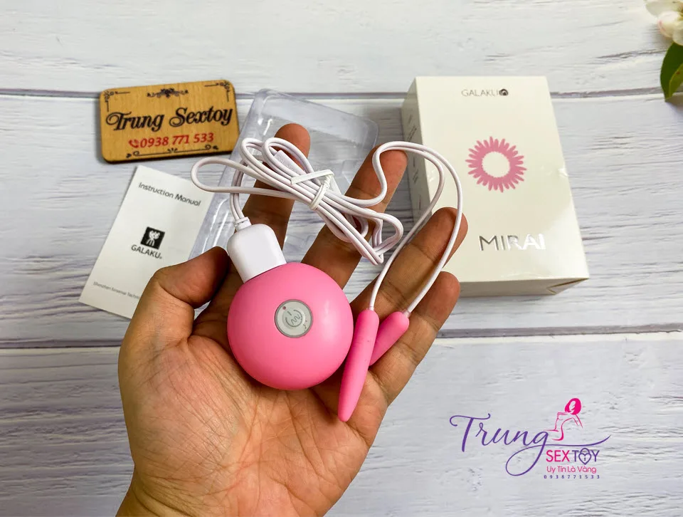 Mirai Mini Love Egg 20 Speeds Strong USB Rechargeable — How to Use