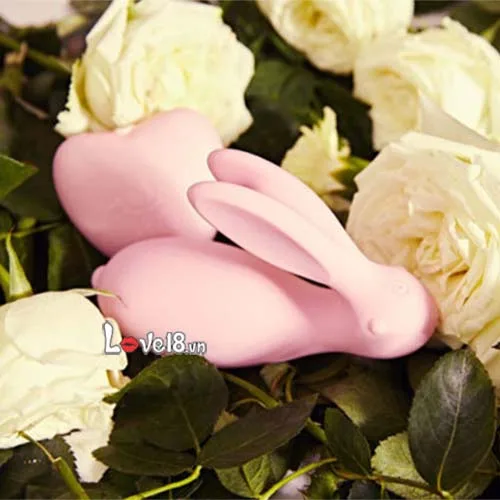 Rabbit G-Spot Vibrating Egg Pink 8 Modes Waterproof — Why Choose the G-Spot Rabbit MS15A?