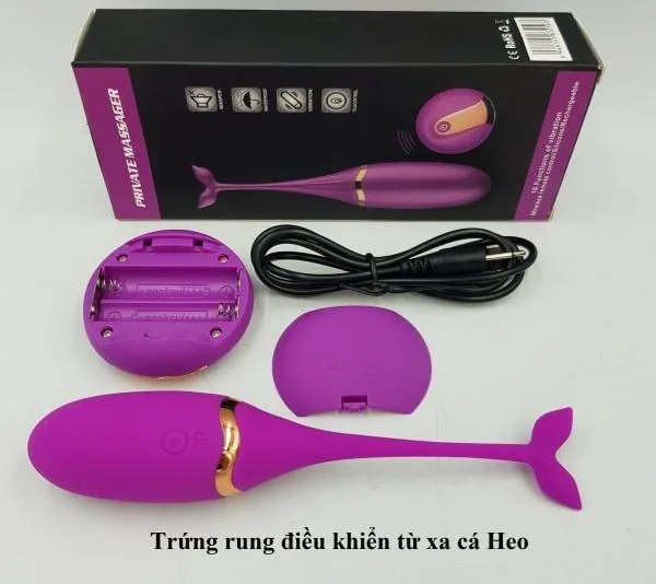 Private Massager Wireless Remote Control Dolphin Vibrator — hình 4