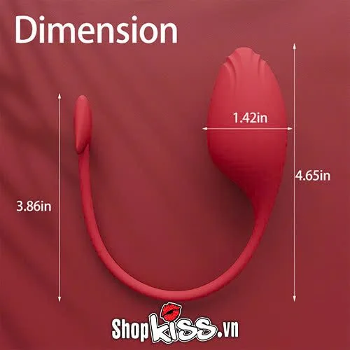 Cupid Succubus G-Spot Vibrating Egg with App Control — Detailed Specifications That Impress