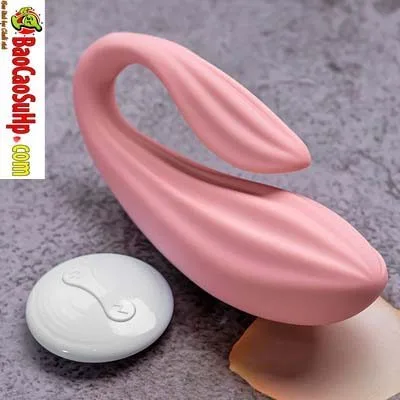 Dragon Sea Beef Remote Panty Vibrator Asian Style Quiet Toy — hình 3