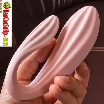 Dragon Sea Beef Remote Panty Vibrator Asian Style Quiet Toy — hình 4