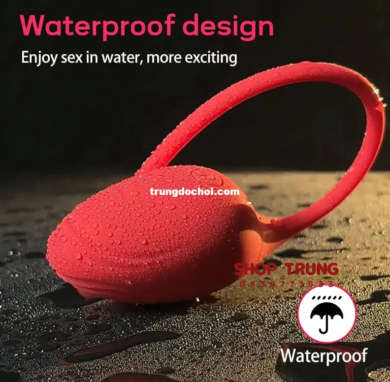 Succubus App-Controlled Waterproof Egg Vibrator 9 Mode — Advanced App-Control and Multiple Vibration Modes
