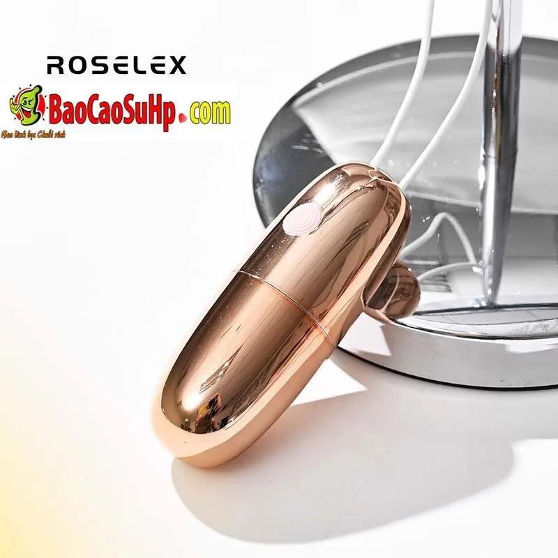 Roselex Bullet-Shaped Stainless Steel Love Egg Vibrator — Product Specifications