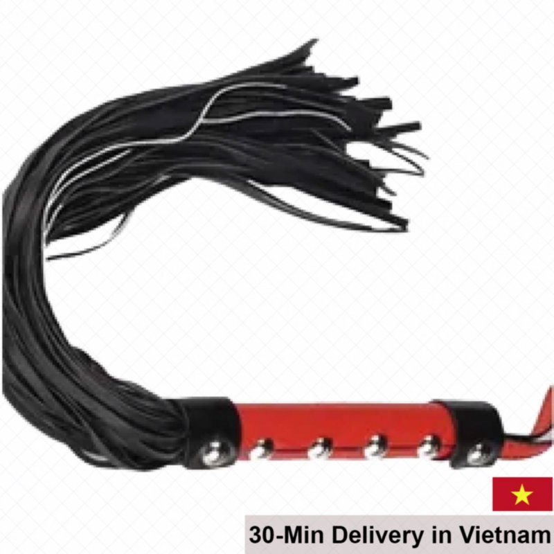 BDSM Whip Leather Sensual Pleasure 