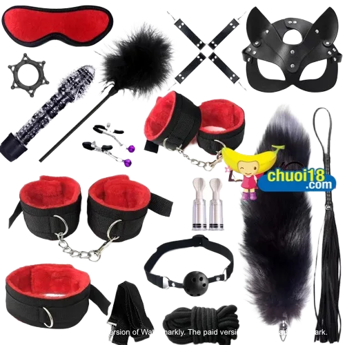 15-Piece BDSM Kit with Vibrator and Fox Tail Accessories