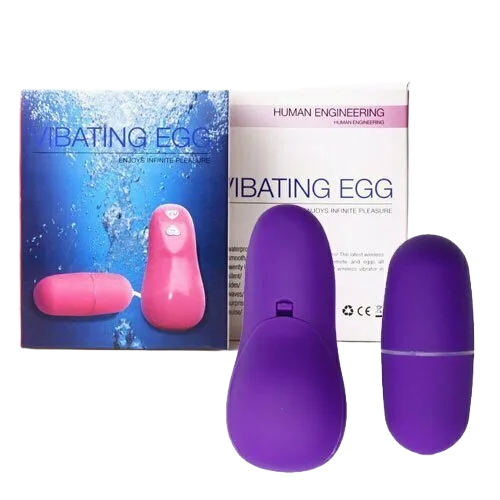 Affordable Egg Vibrator Female Pleasure Discreet Design