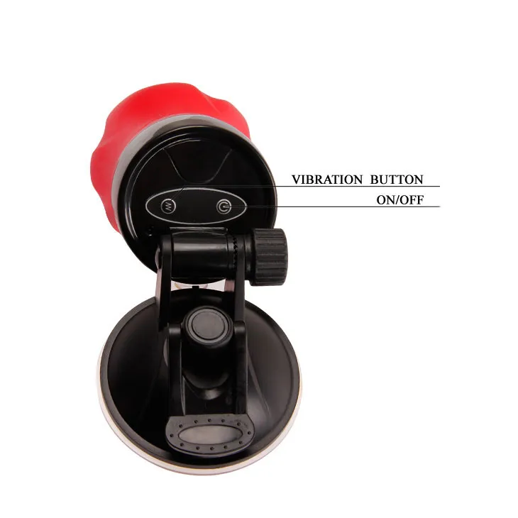 Crazy Bull Delia Wall-Mounted Multi-Mode Vibrating Suction Dildo — photo 4