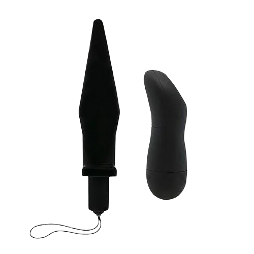 Baile Remote Control Silicone Butt Plug Vibrator 20 Speeds