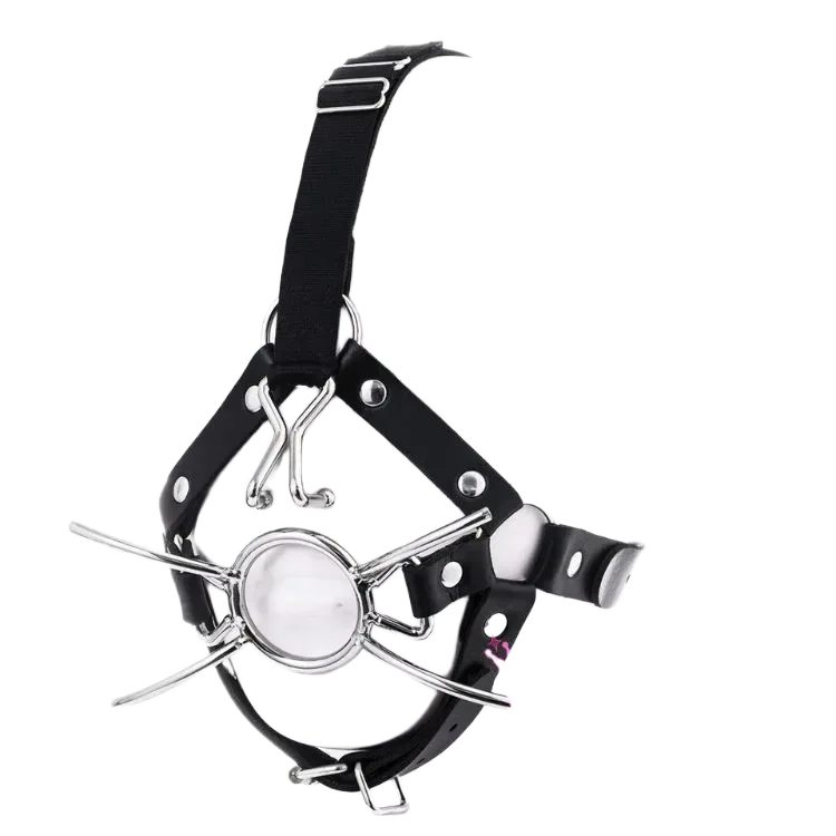 BDSM Mouth Gag with Nose Hook for Ultimate Control Play