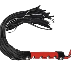 BDSM Whip Leather Sensual Pleasure