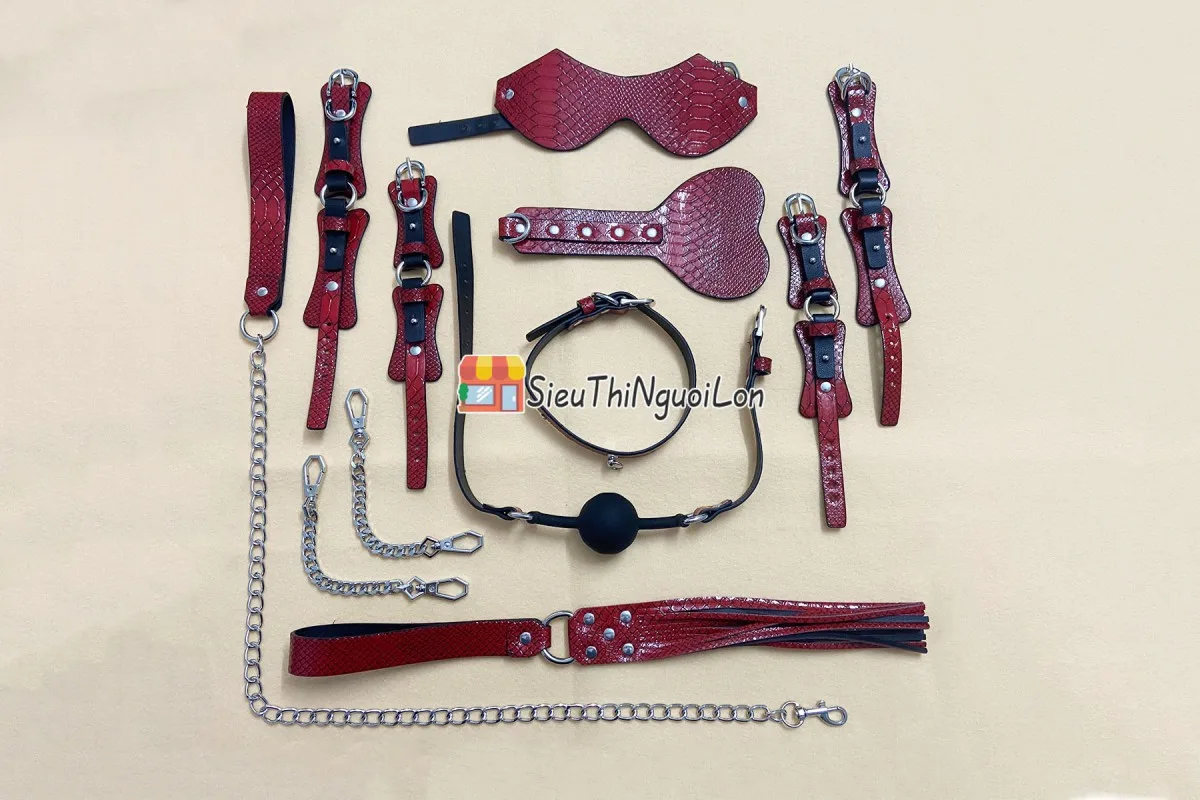 Red Vein 10-Piece BDSM Leather & Stainless Steel Set — photo 2