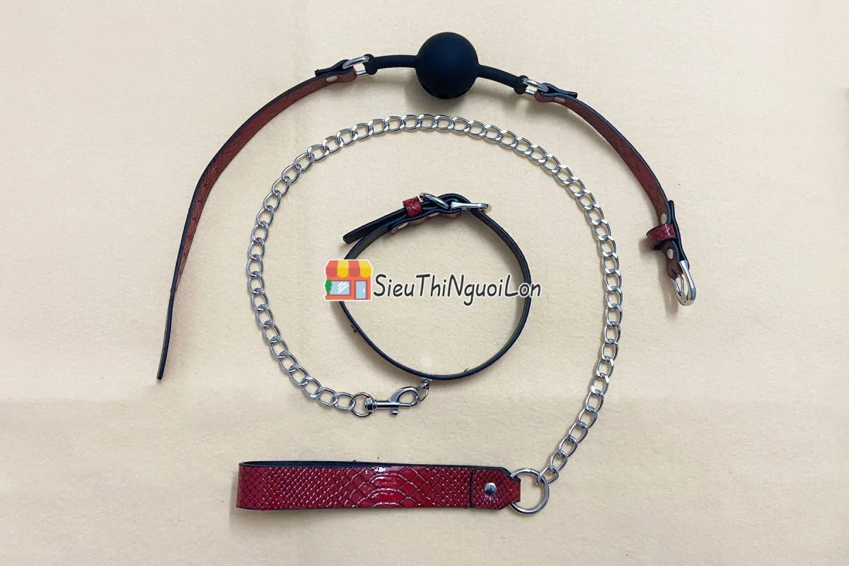 Red Vein 10-Piece BDSM Leather & Stainless Steel Set — photo 3