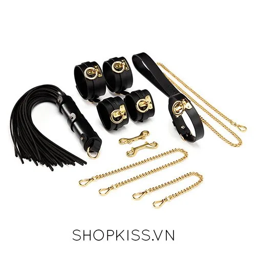 Luxury Leather BDSM Dominance Restraint Kit — photo 2