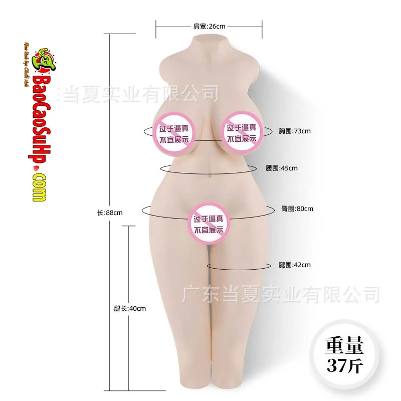 Toysheart Japan Sophie 88cm Torso Sex Doll No Arms — photo 2