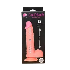 Caesar 7 Mode Wall Mounted Realistic Female Masturbator