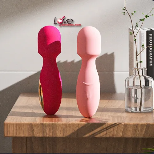 Mini Rechargeable G-Spot Vibrator with 3 Silicone Heads — photo 2