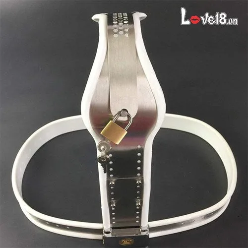 T-Shape Stainless Steel Female Chastity Belt BDSM Gear — photo 2