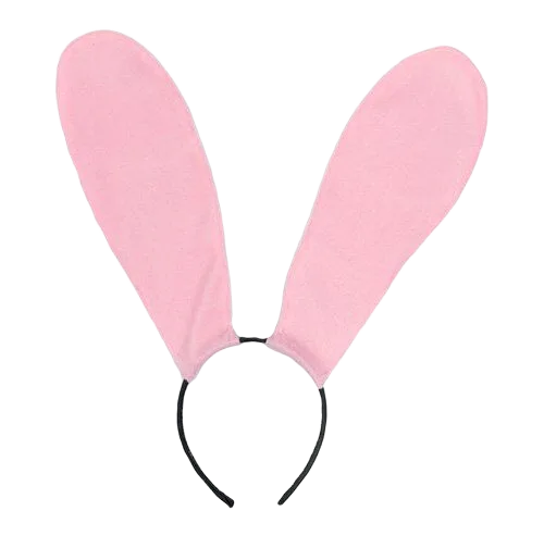Deluxe 10-Piece Pink BDSM Set Cute Bunny Costume