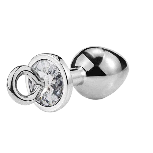 Detachable Metal Anal Plug With Ring Restraint BDSM Toy