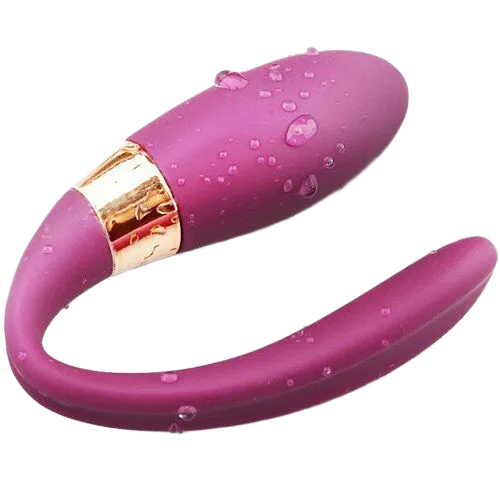 Dibe Alice Remote Control G Spot Silicone Massage Egg Vibrator
