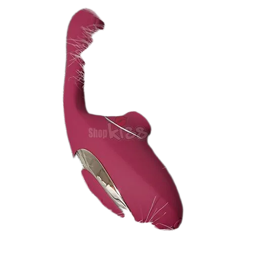 Dina Dual Function Vibrator + Suction Pleasure Device