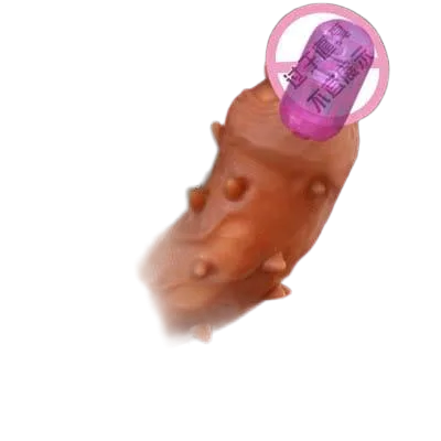Donden Wish Ebay Textured Vibrating Condom Full Body Sensation